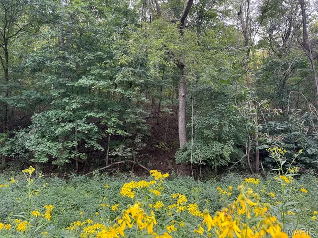 $1,480,000 | 3705 Widgeon Wood Way, Jefferson City, MO 65109