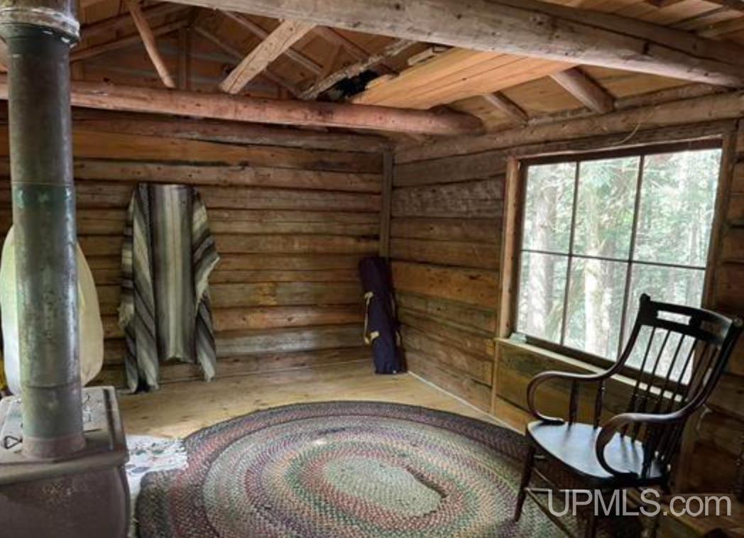 Tbd Tbd Loon Lake Road Michigamme, MI 49861 - Photo 4 of 10