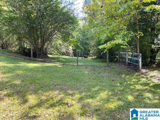 23738 Highway 231 Ragland, AL 35131 - Photo 23 of 27