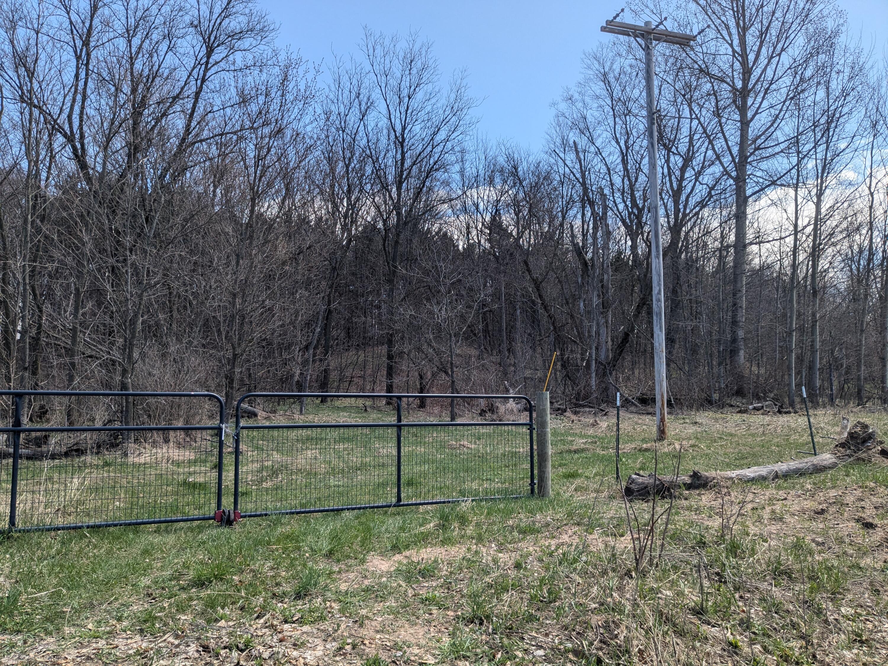 Gated driveway