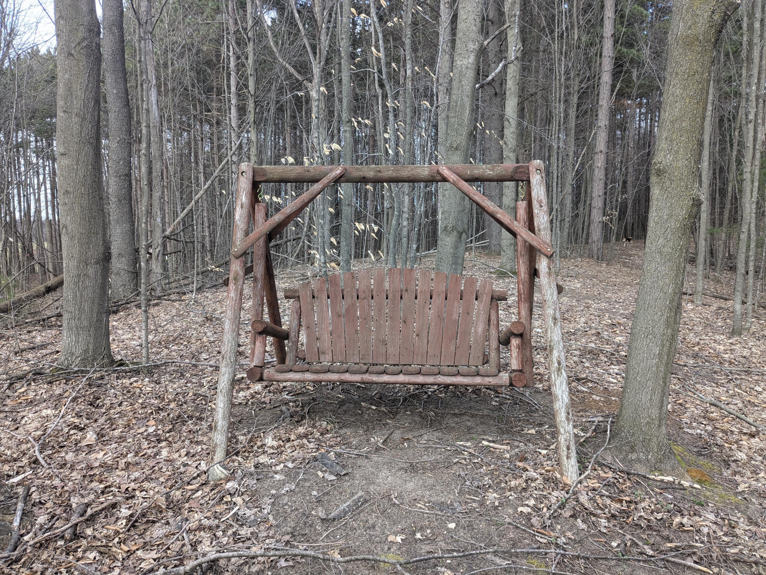 1 Butwell Road Bear Lake, MI 49614 - Photo 15 of 15 Swing stays