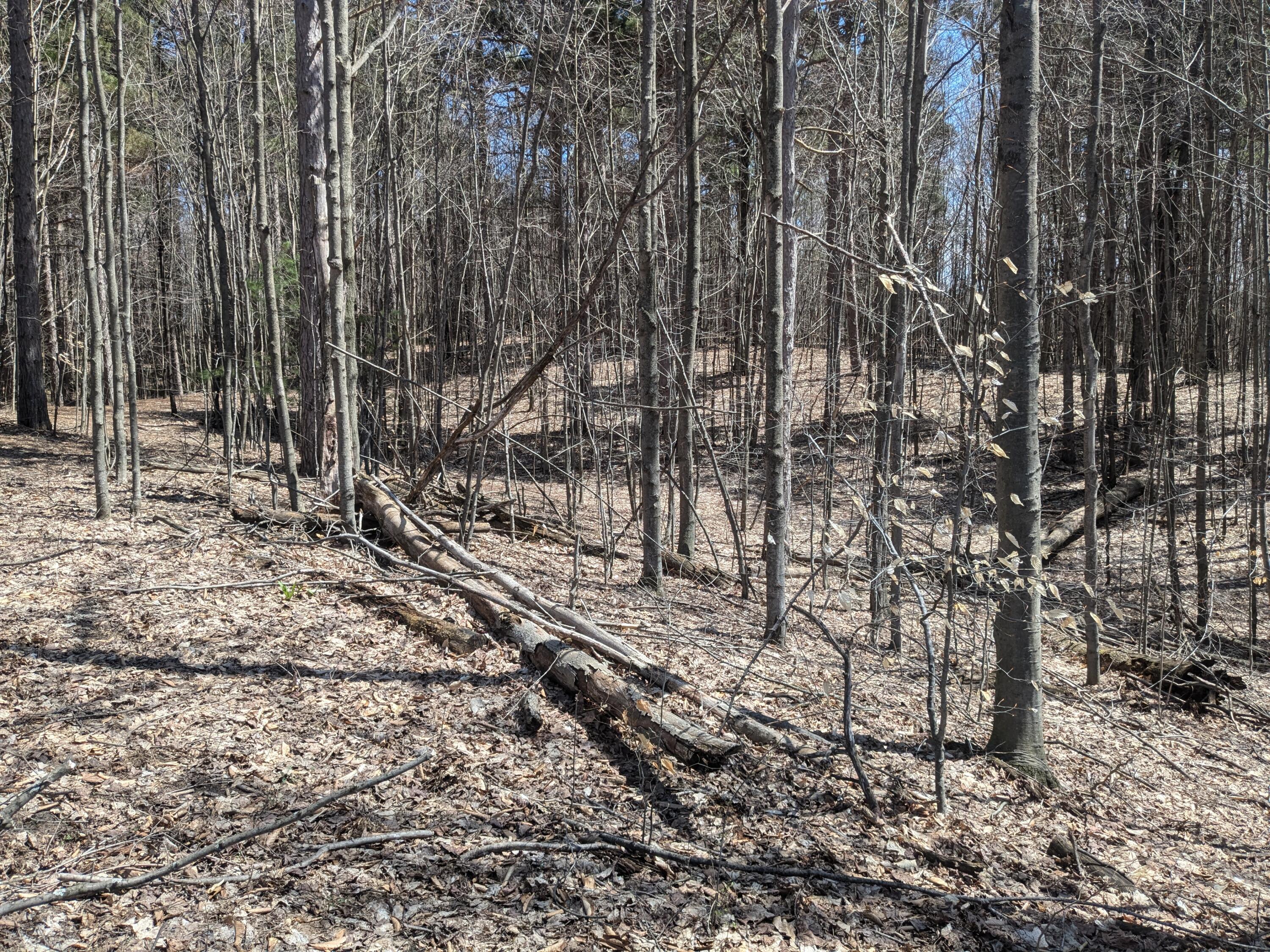 Nice rolling terrain