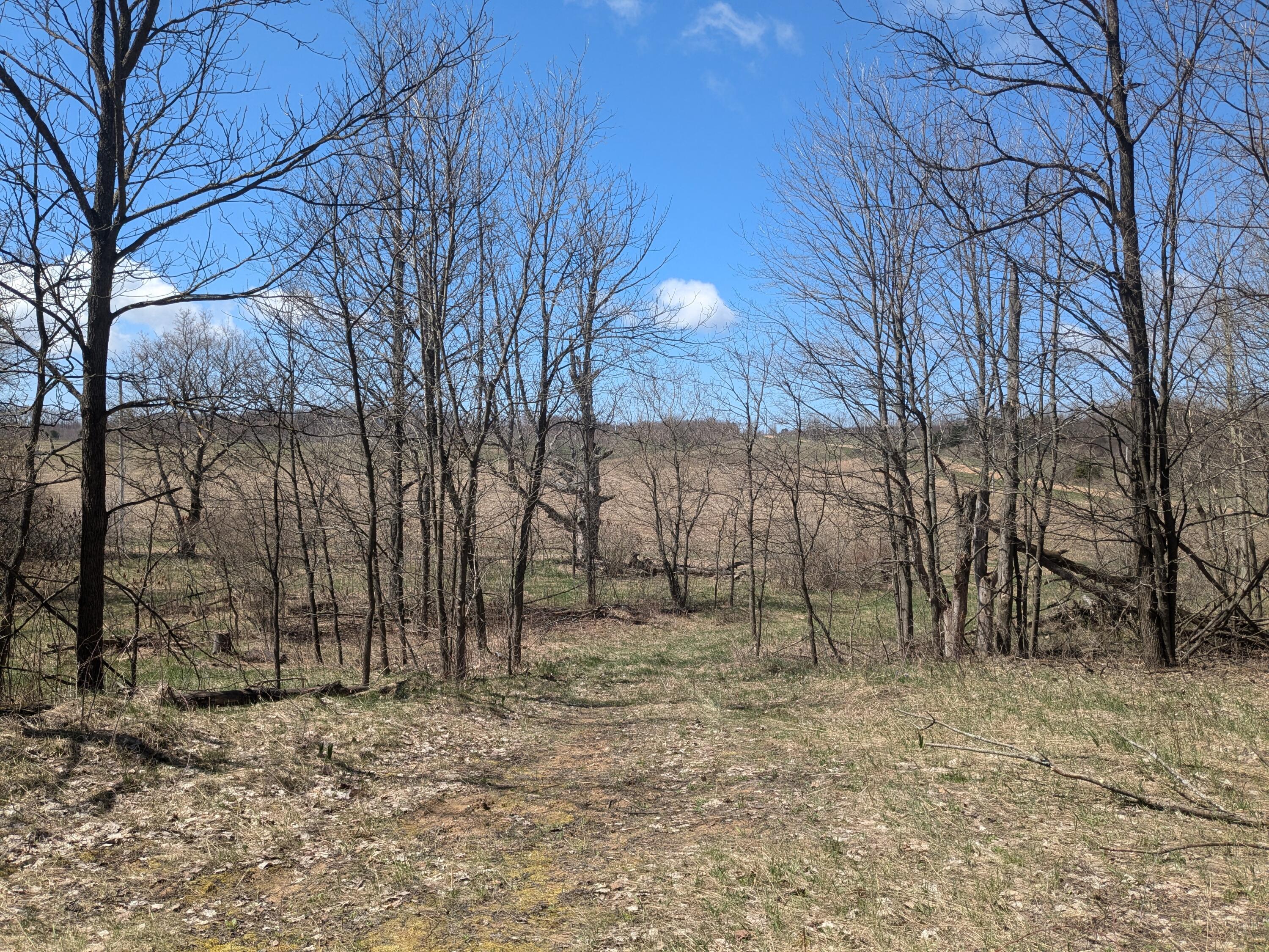 1 Butwell Road Bear Lake, MI 49614 - Photo 8 of 15 View to the west