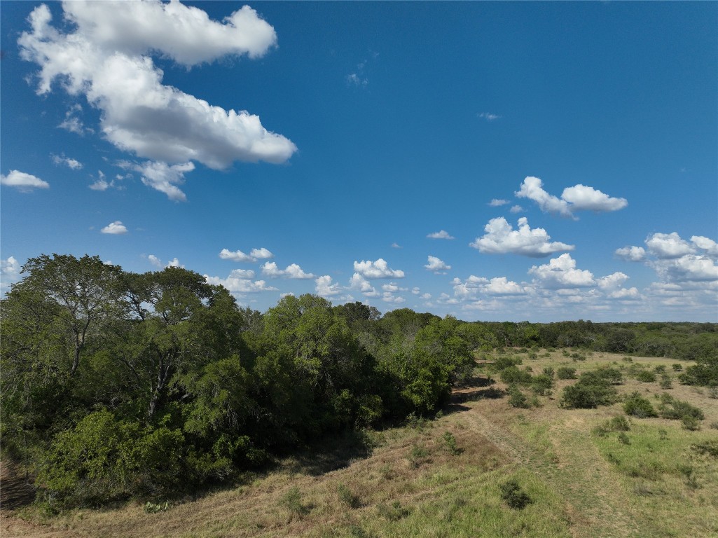 View of woods