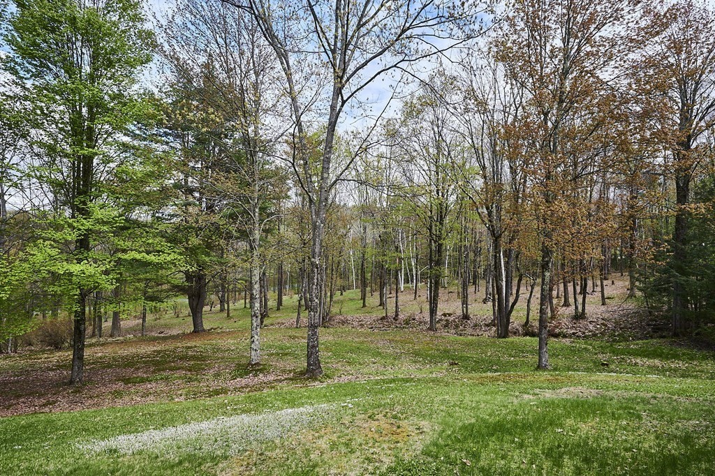 1700 Main Poland Road Conway, MA 01096 - Photo 7 of 42 a view of a park with a tree