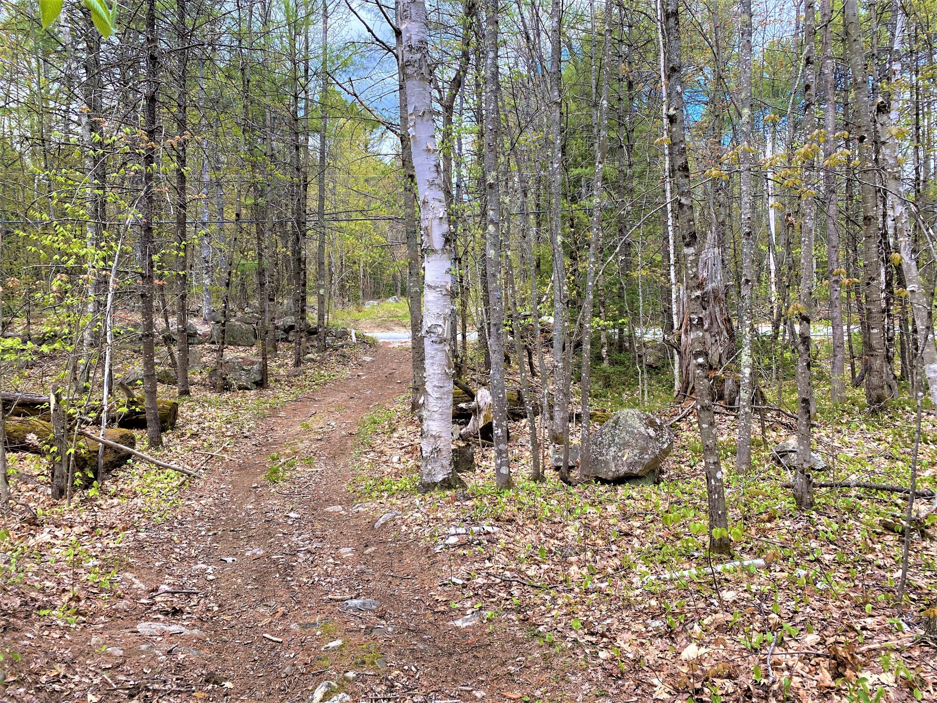 0 Libby Road, Unit LOT #1 West Newfield, ME 04095 - Photo 11 of 14 IMG_13676