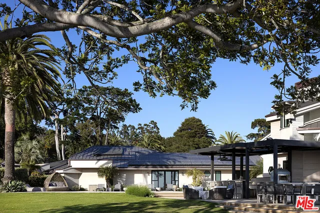 a palm tree sitting in front of a building