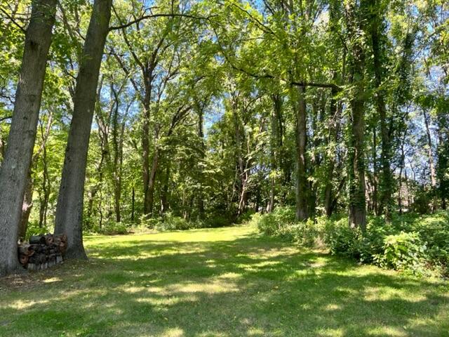 985 Vineland Road St. Joseph, MI 49085 - Photo 37 of 44 IMG_9024