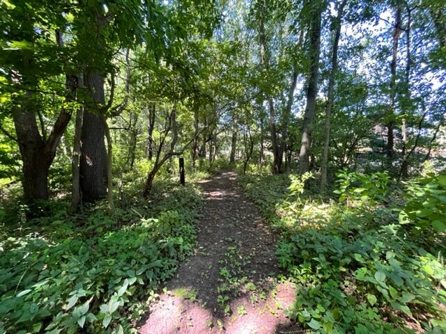 985 Vineland Road St. Joseph, MI 49085 - Photo 39 of 44 IMG_9026