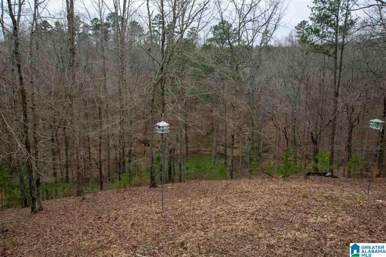 1055 Ranger Trail Warrior, AL 35180 - Photo 6 of 32