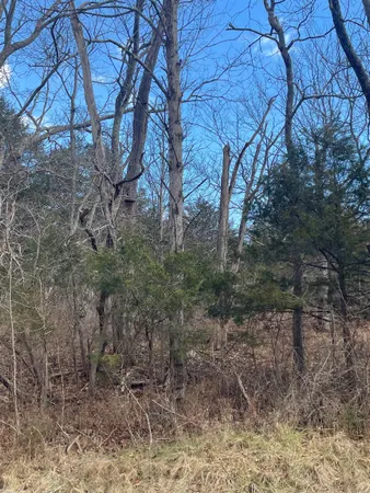 $80,000 | Tbd Walkers Creek Road, Middlebrook, VA 24459