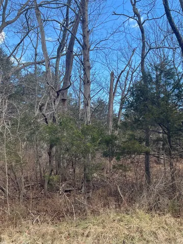 $99,000 | Tbd Walkers Creek Road, Middlebrook, VA 24459