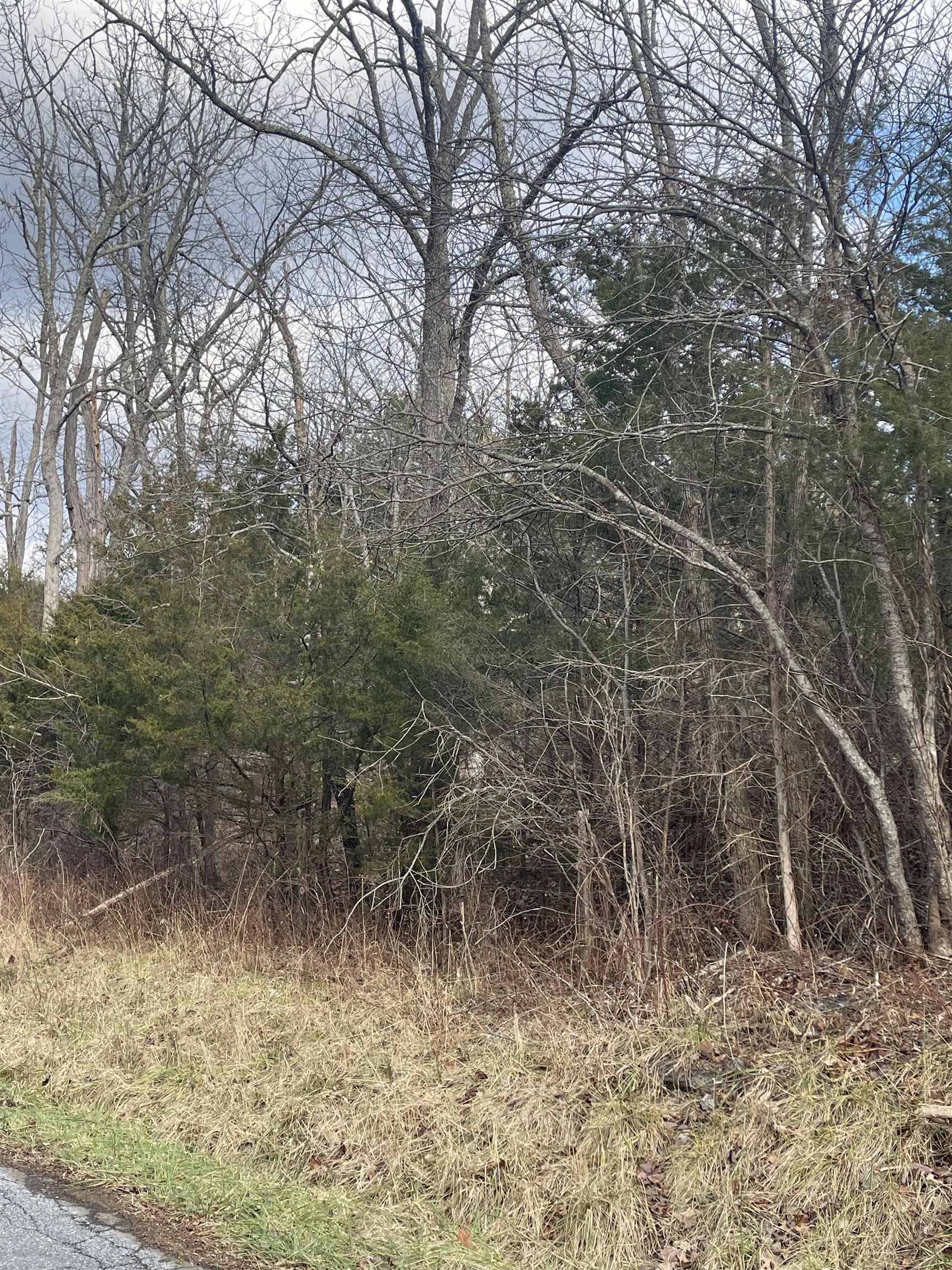 Tbd Walkers Creek Road Middlebrook, VA 24459 - Photo 2 of 3