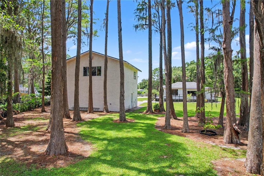 17305 Sherman Road Lutz, FL 33558 - Photo 63 of 89