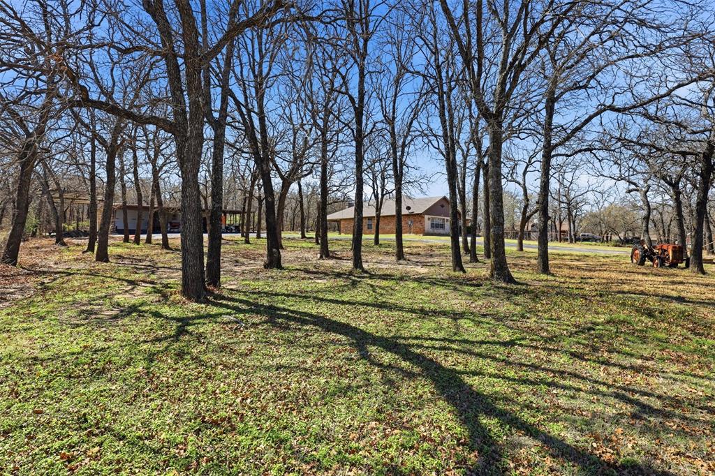 533 Eagles Way Springtown, TX 76082 - Photo 27 of 32 a view of park with trees