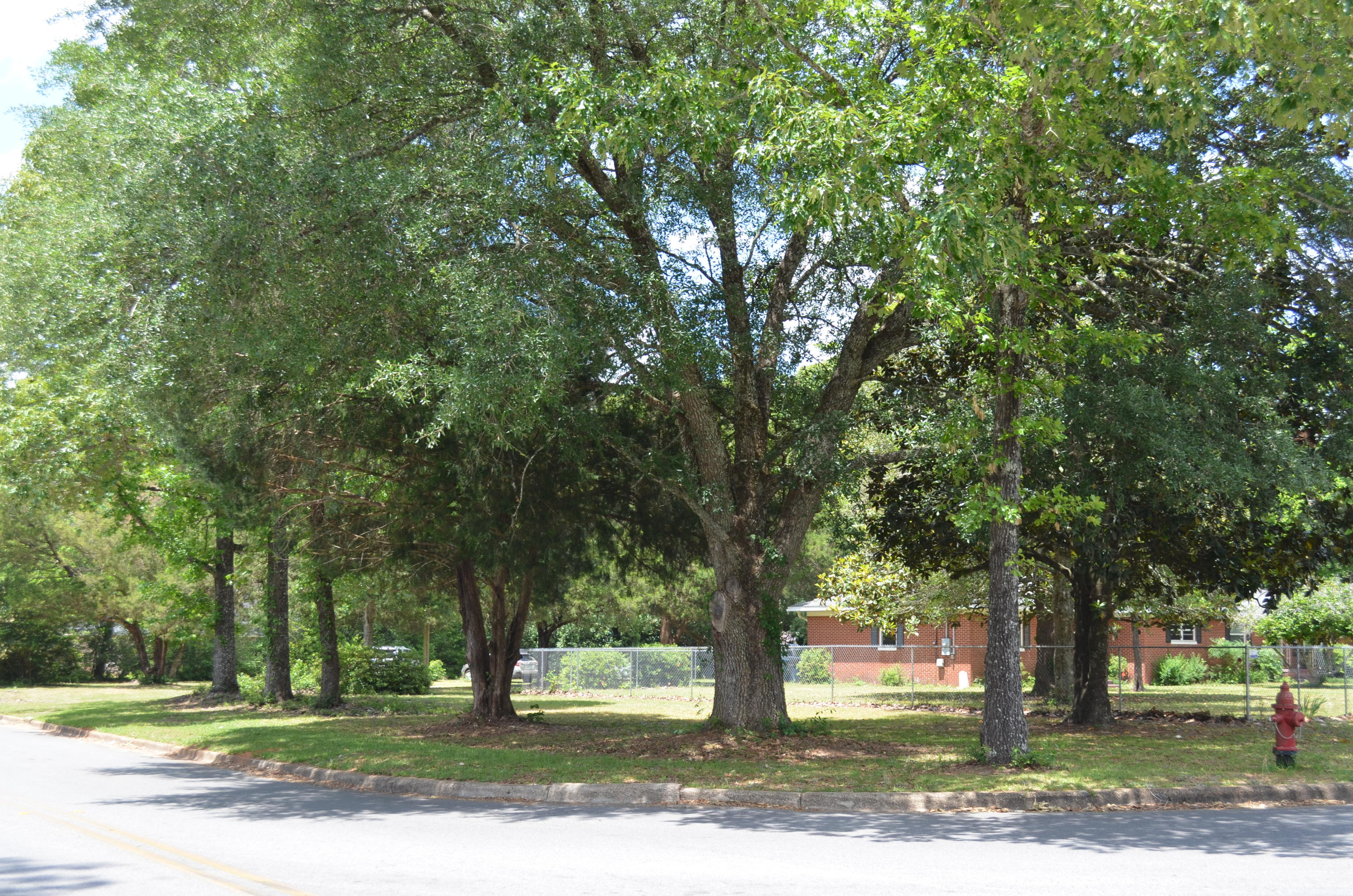 201 Jones Road Crestview, FL 32536 - Photo 10 of 54 DSC_0499