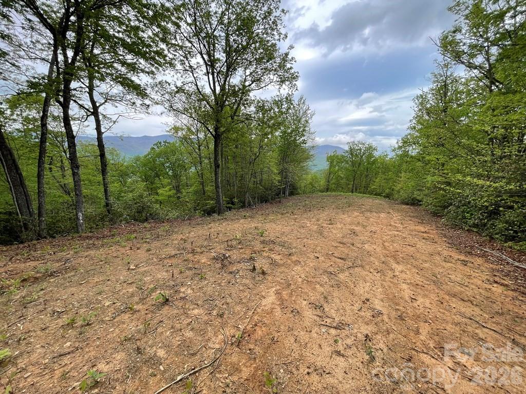 700 Copperhead Cove Road Sylva, NC 28779 - Photo 2 of 23