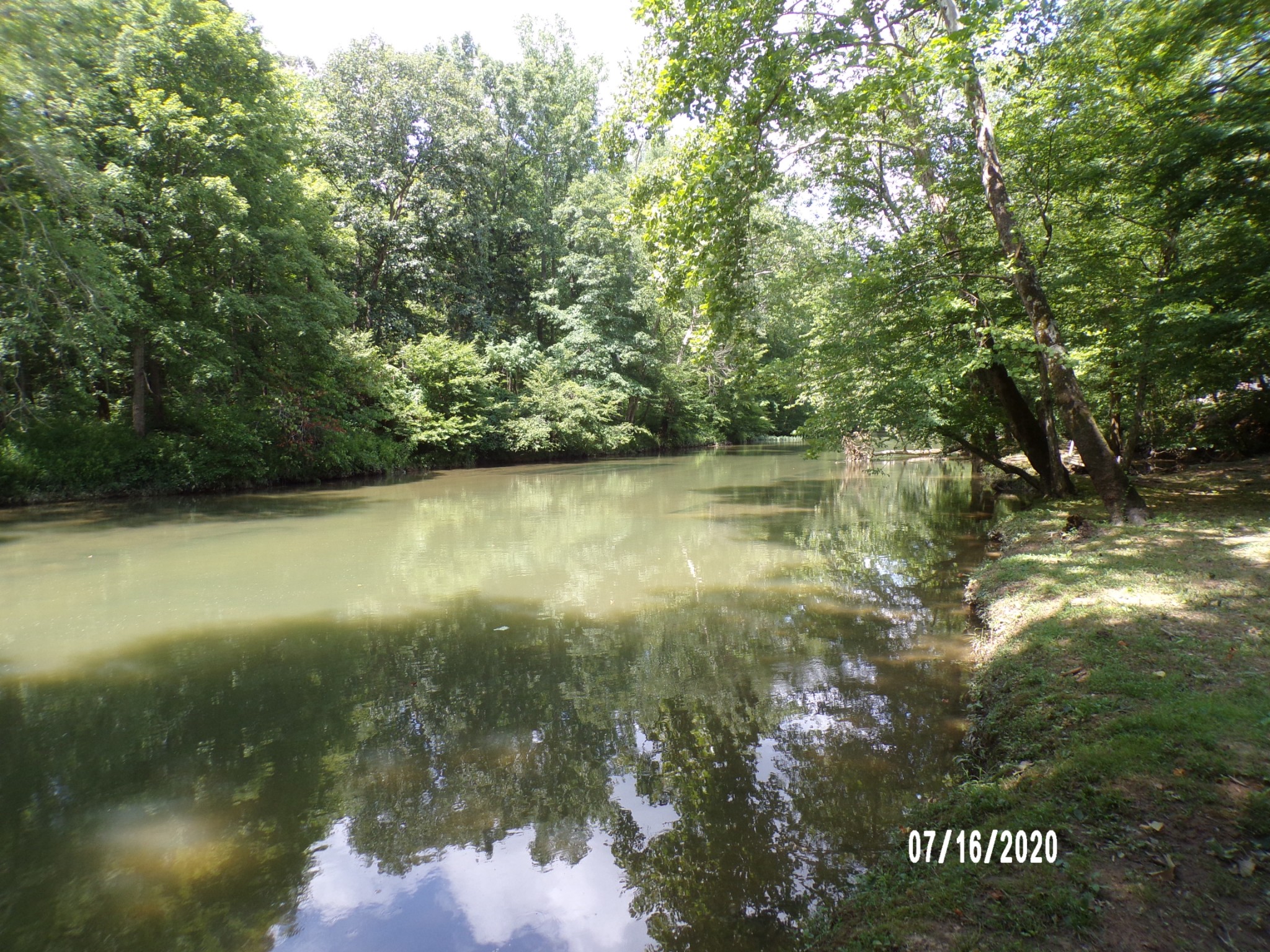 180 Barnes Lake Road Hohenwald, TN 38462 - Photo 1 of 15 Gallery Image 1
