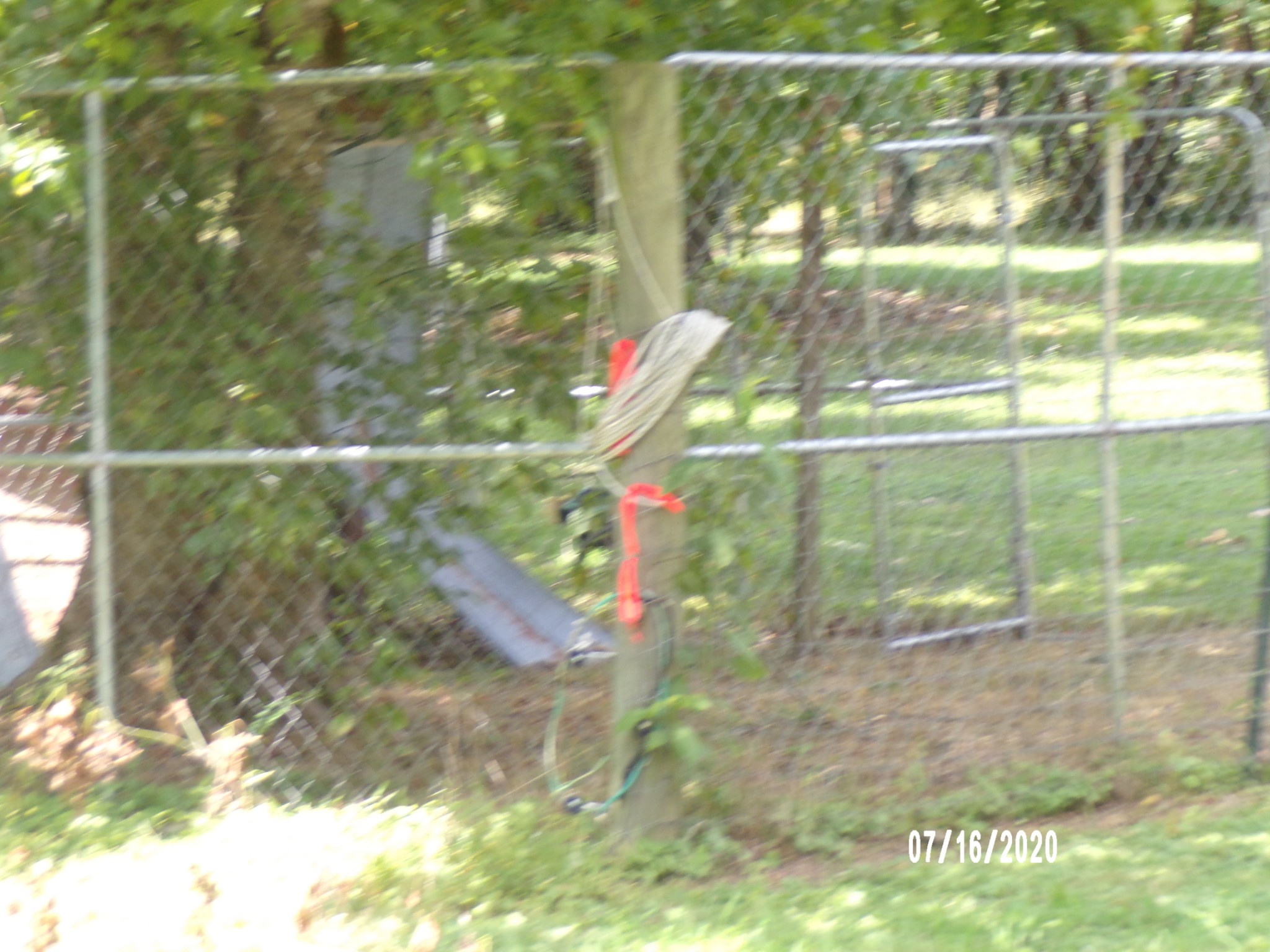180 Barnes Lake Road Hohenwald, TN 38462 - Photo 14 of 15 Gallery Image 14