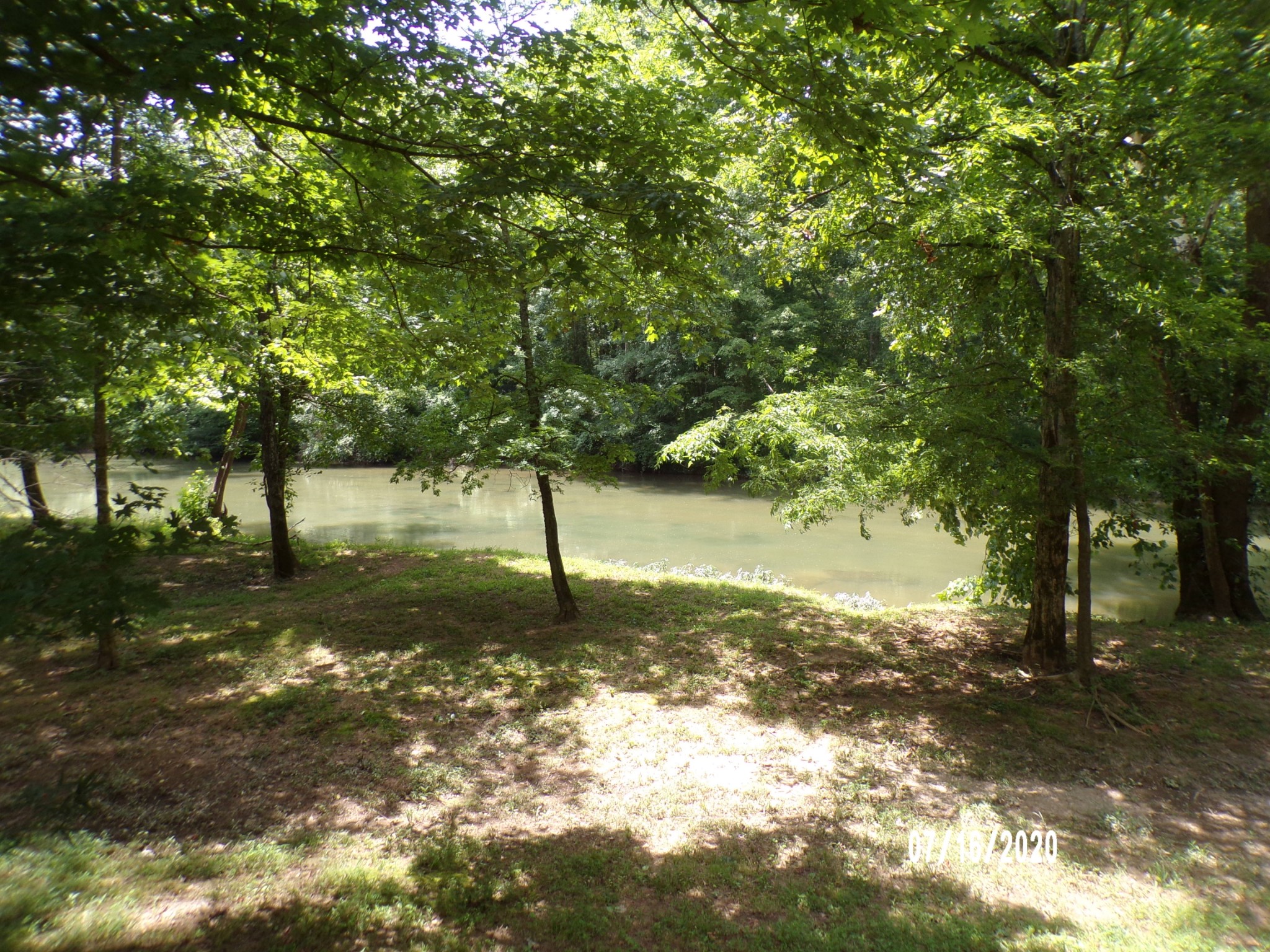 180 Barnes Lake Road Hohenwald, TN 38462 - Photo 4 of 15 Gallery Image 4