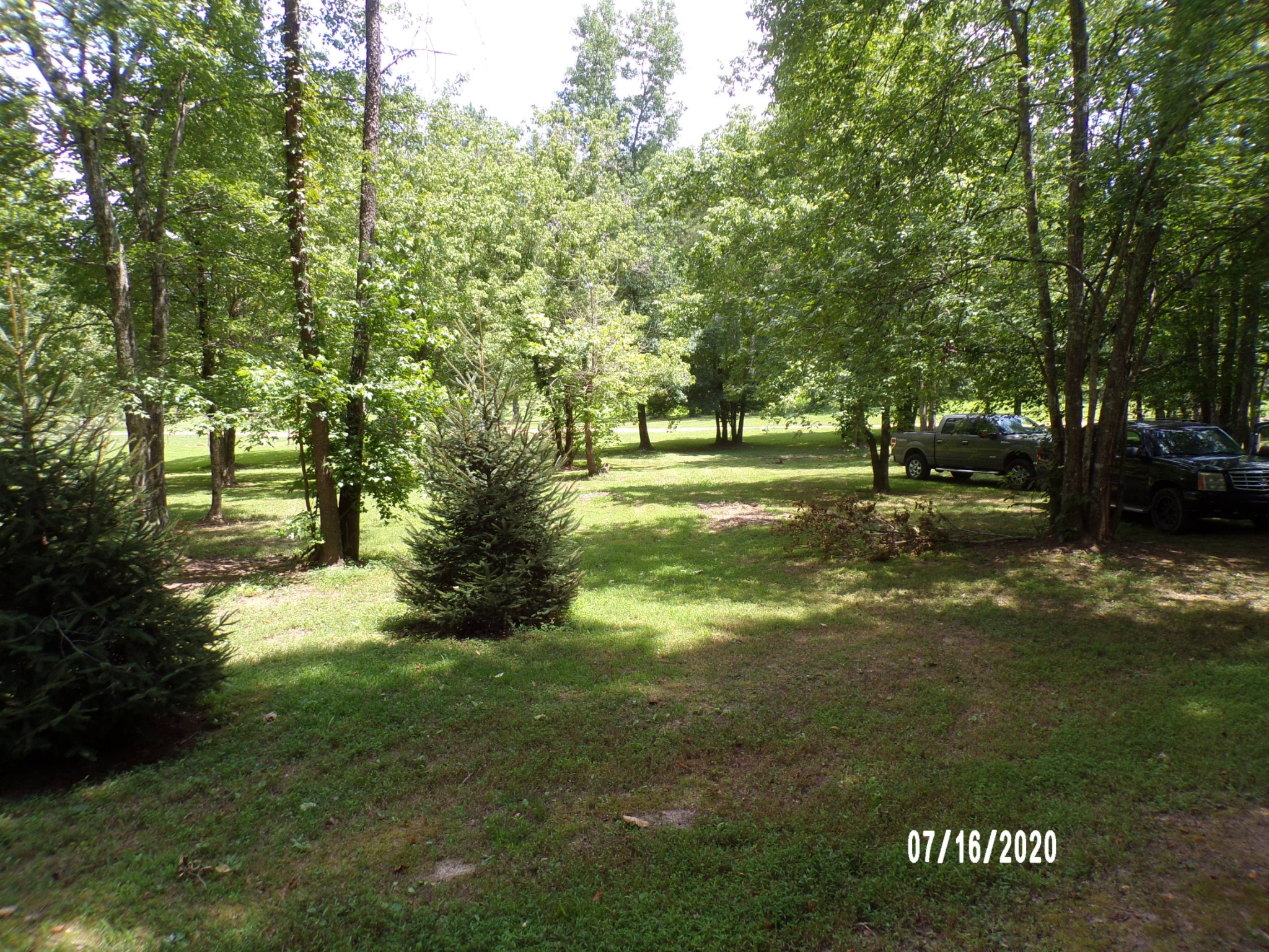 180 Barnes Lake Road Hohenwald, TN 38462 - Photo 6 of 15 Gallery Image 6