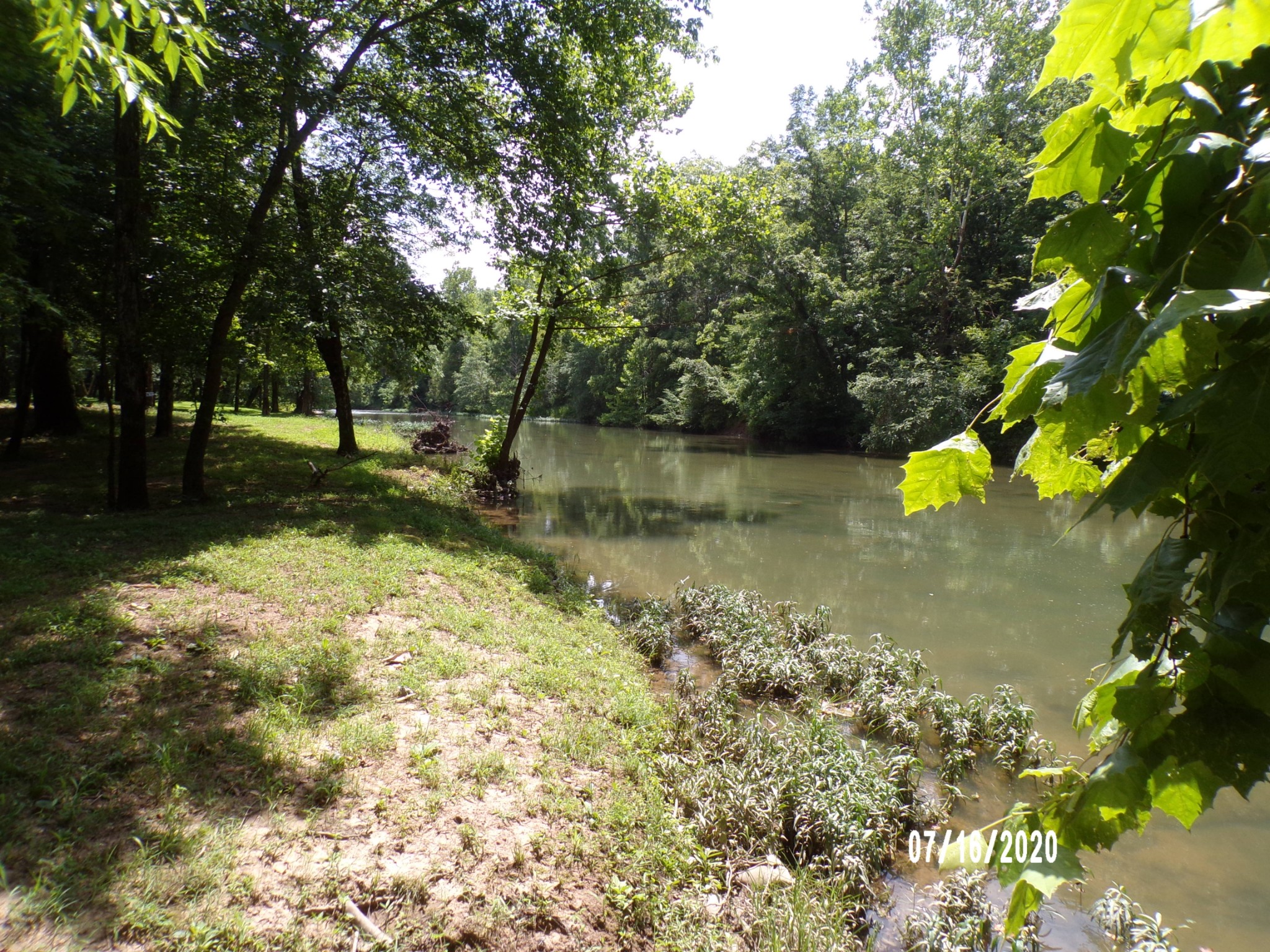 180 Barnes Lake Road Hohenwald, TN 38462 - Photo 8 of 15 Gallery Image 8