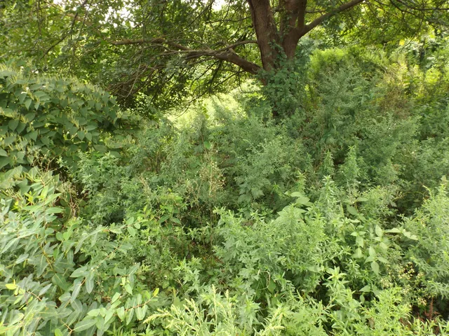 $99,900 | 916 Hart Street, Bridgeport, CT 06606