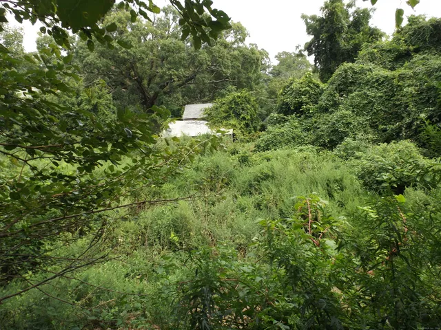 $99,900 | 916 Hart Street, Bridgeport, CT 06606