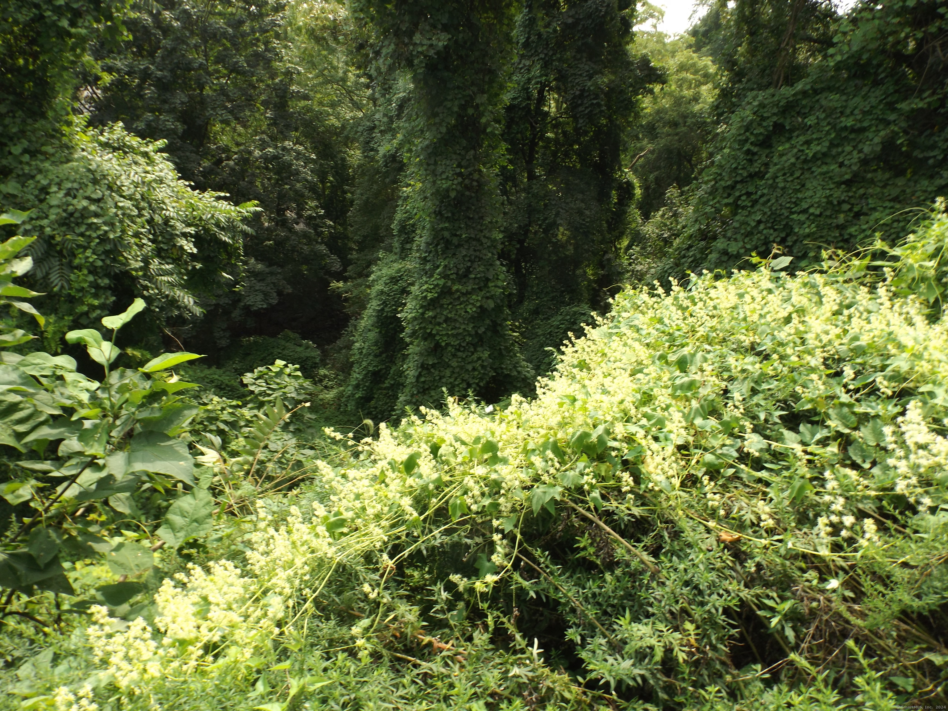 916 Hart Street Bridgeport, CT 06606 - Photo 16 of 30