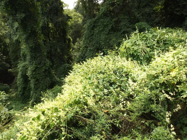 $99,900 | 916 Hart Street, Bridgeport, CT 06606