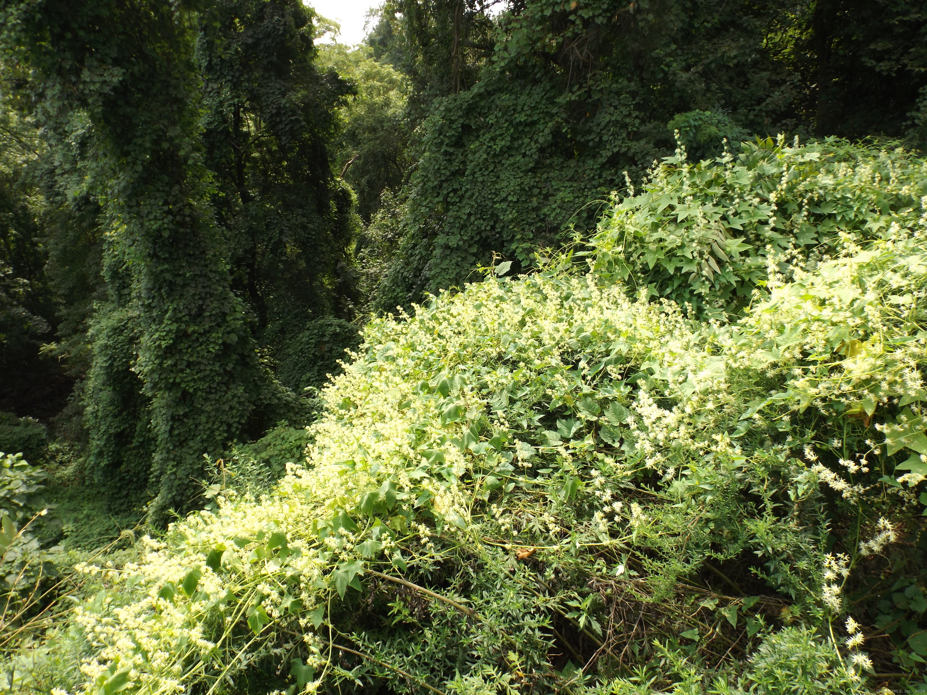 916 Hart Street Bridgeport, CT 06606 - Photo 18 of 30