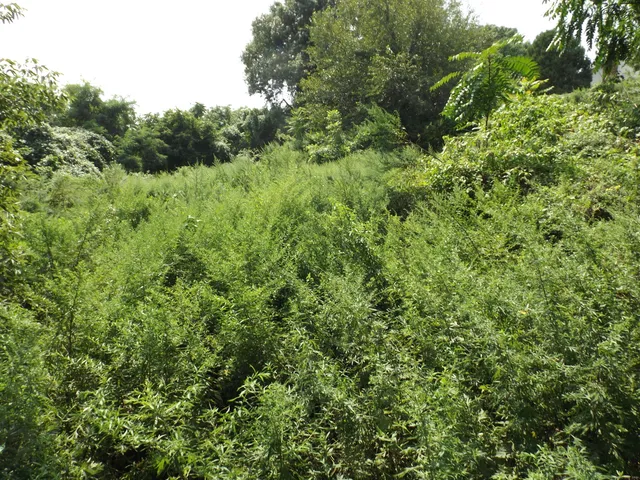 $99,900 | 916 Hart Street, Bridgeport, CT 06606