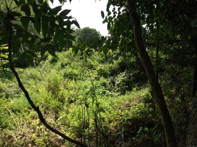 $99,900 | 916 Hart Street, Bridgeport, CT 06606