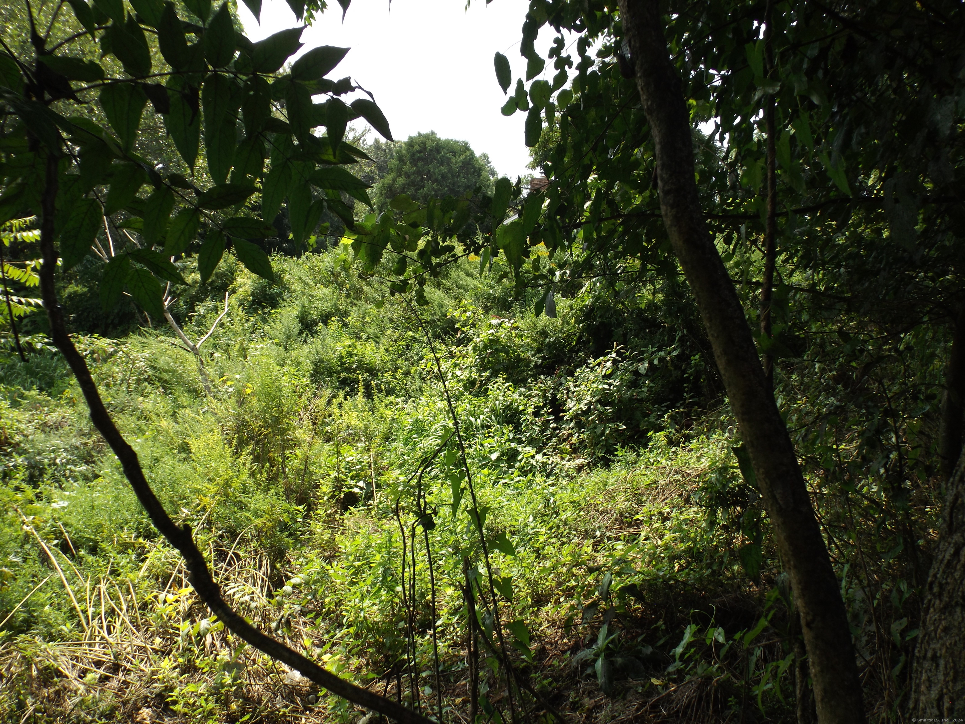 916 Hart Street Bridgeport, CT 06606 - Photo 27 of 30