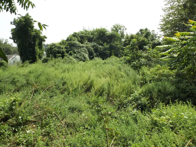 $99,900 | 916 Hart Street, Bridgeport, CT 06606