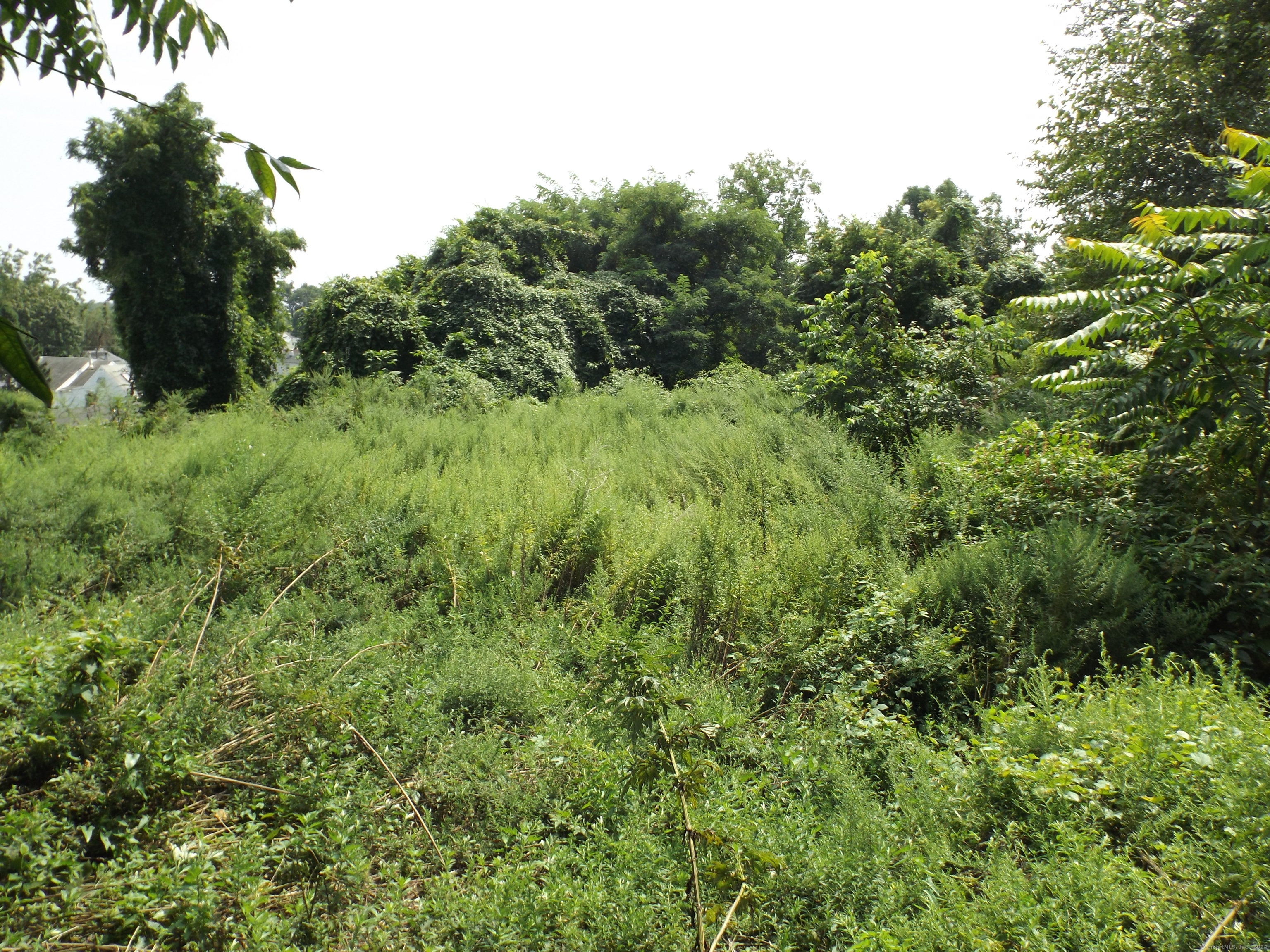 916 Hart Street Bridgeport, CT 06606 - Photo 28 of 30