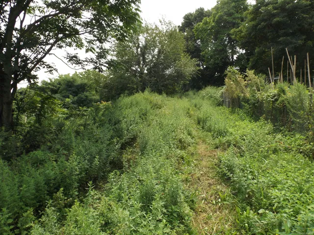 $99,900 | 916 Hart Street, Bridgeport, CT 06606