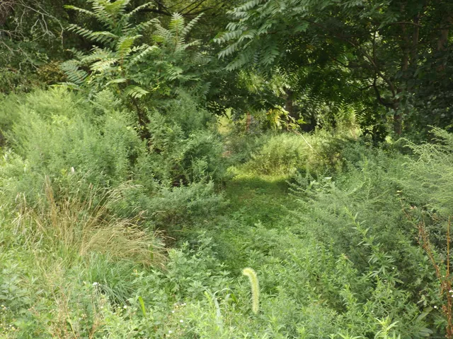 $99,900 | 916 Hart Street, Bridgeport, CT 06606