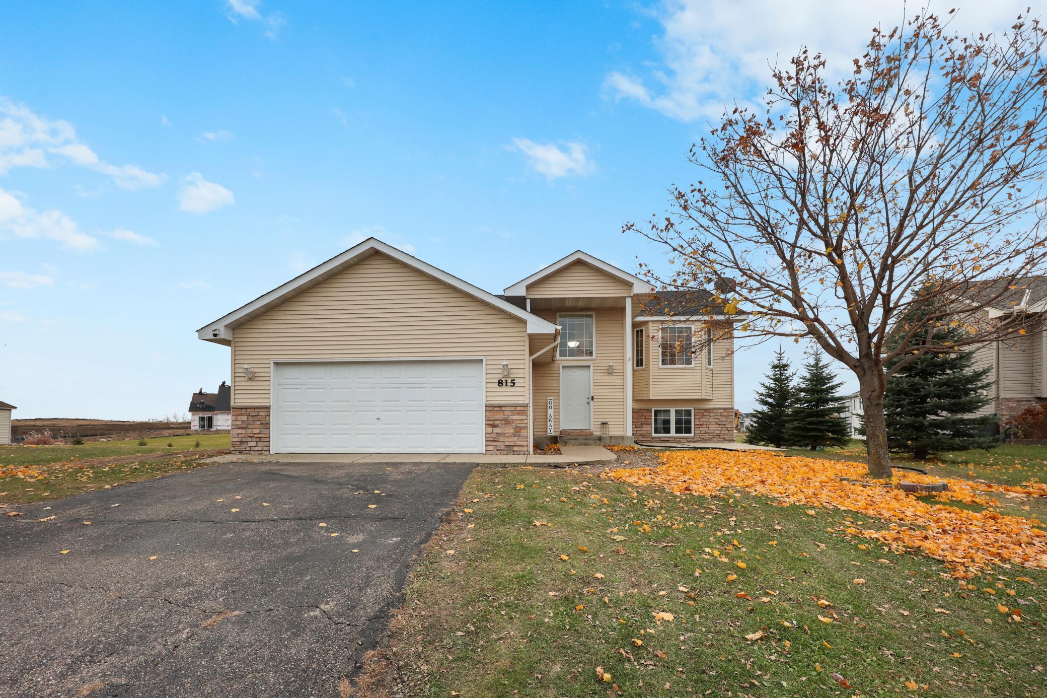 815 Cologne Lane Waverly, MN 55390 - Photo 3 of 46