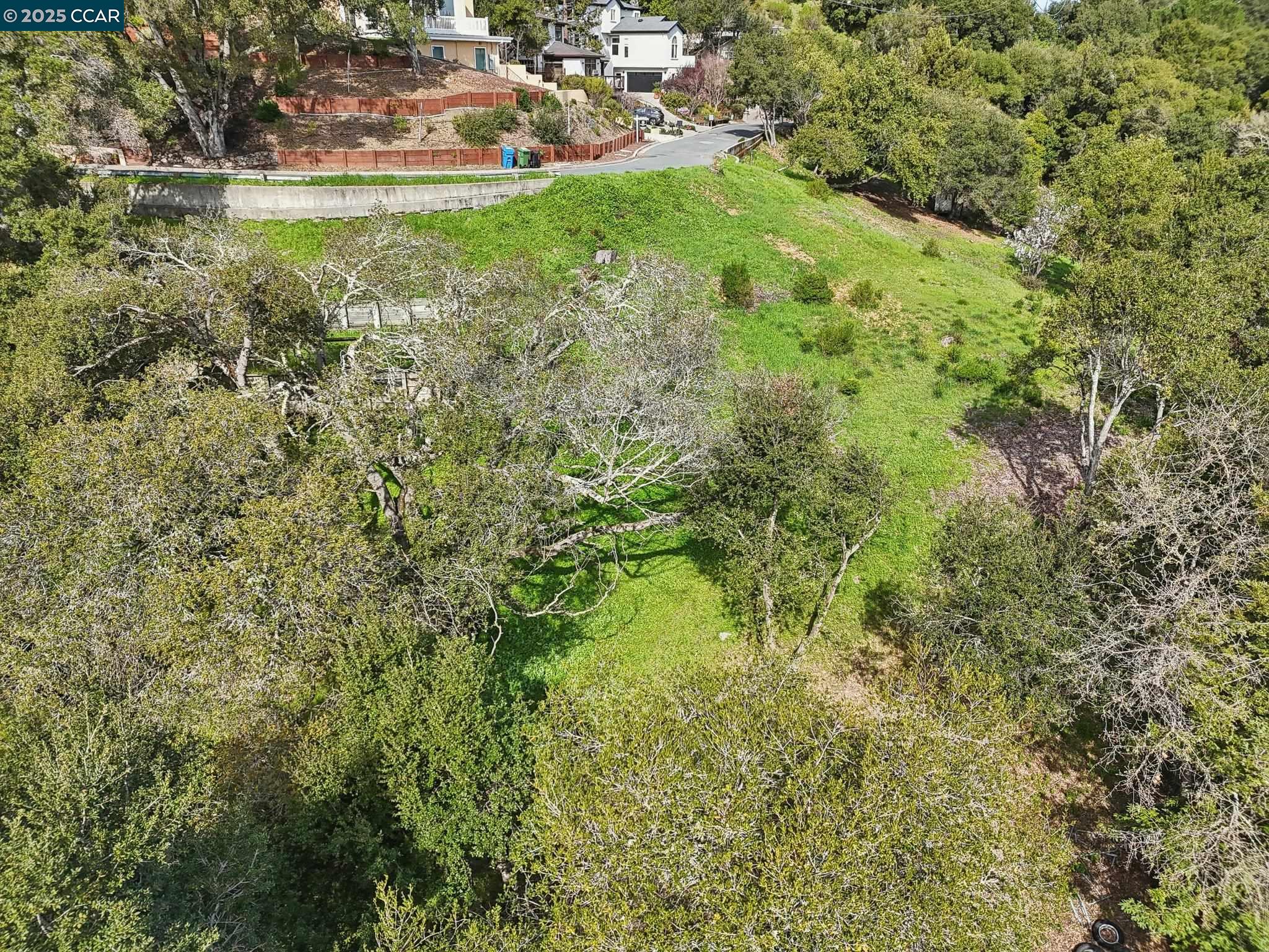 Oak Road Orinda, CA 94563 - Photo 13 of 18 a view of a garden