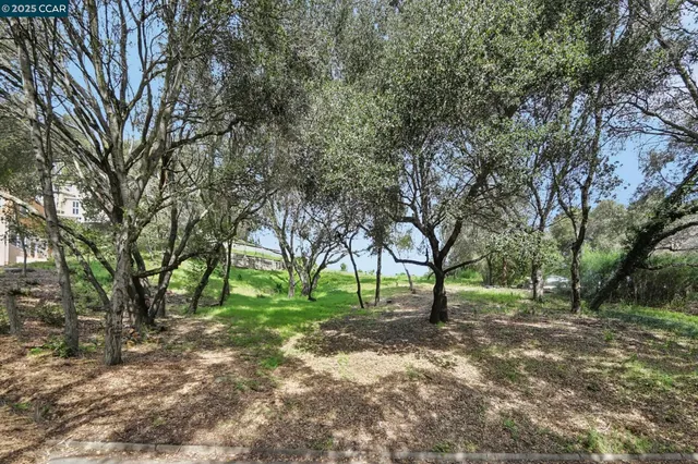 a view of outdoor space with tree s