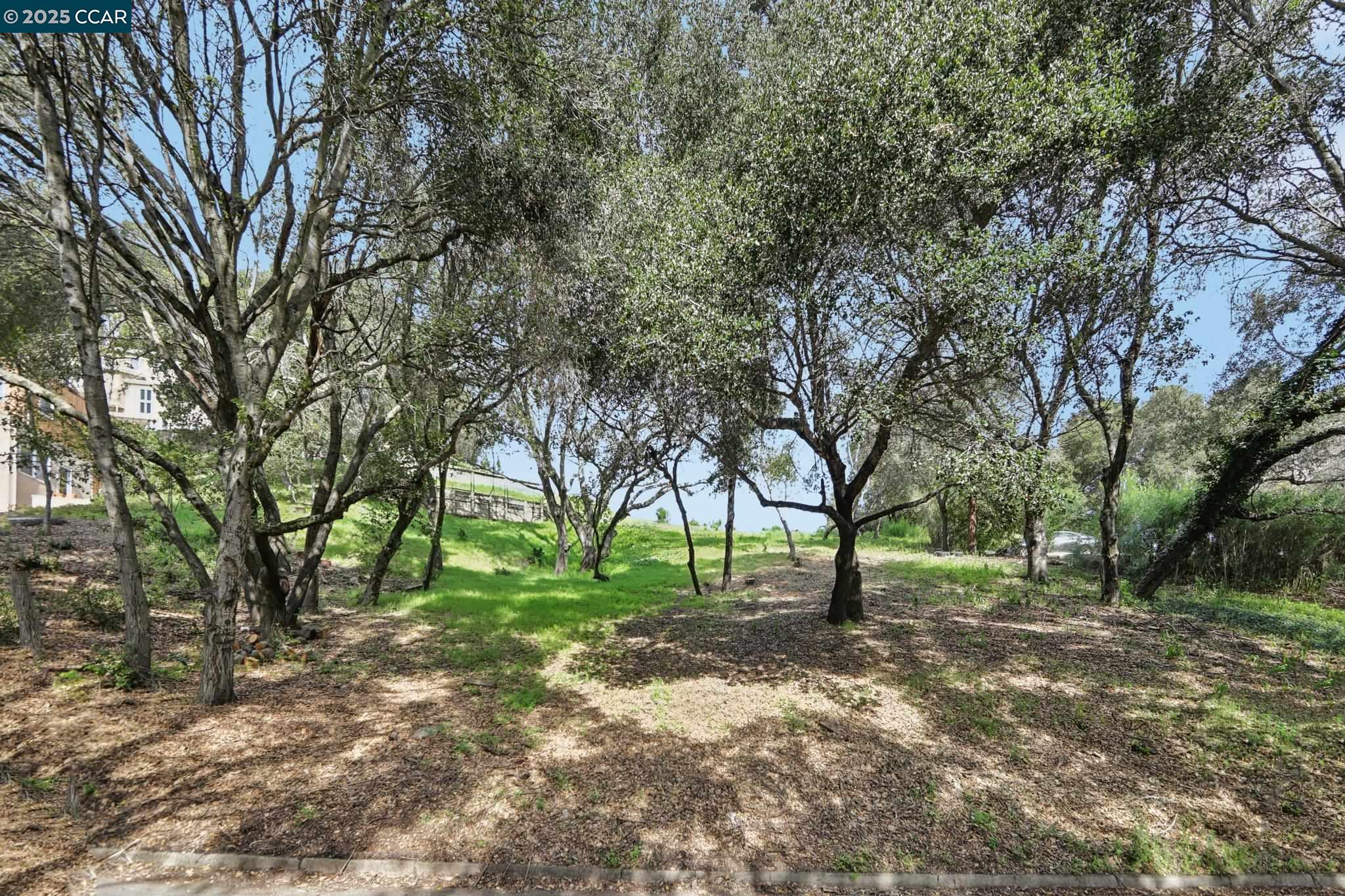 Oak Road Orinda, CA 94563 - Photo 4 of 18 a view of outdoor space with tree s