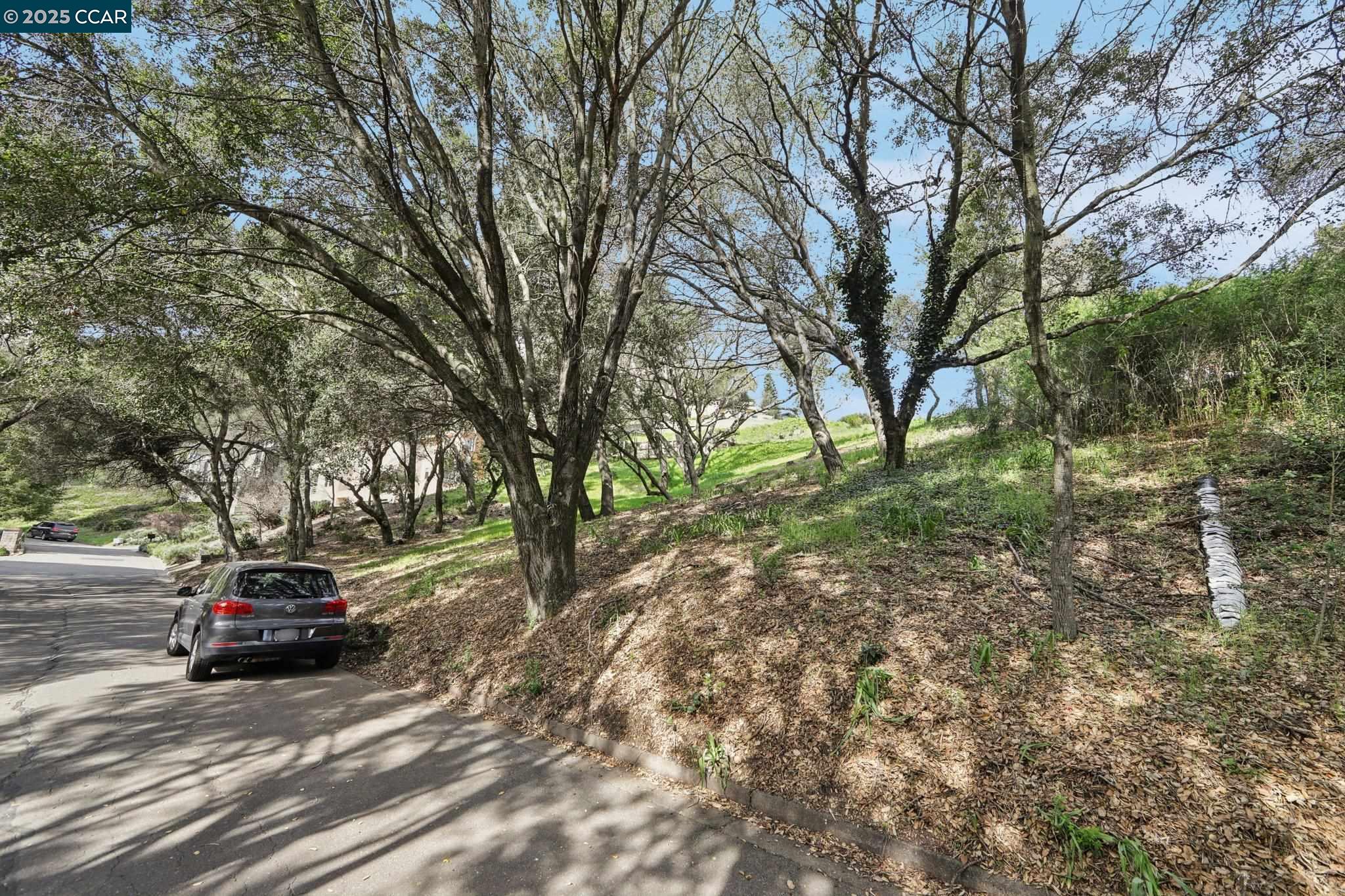 Oak Road Orinda, CA 94563 - Photo 6 of 18 a view of a backyard with a large tree