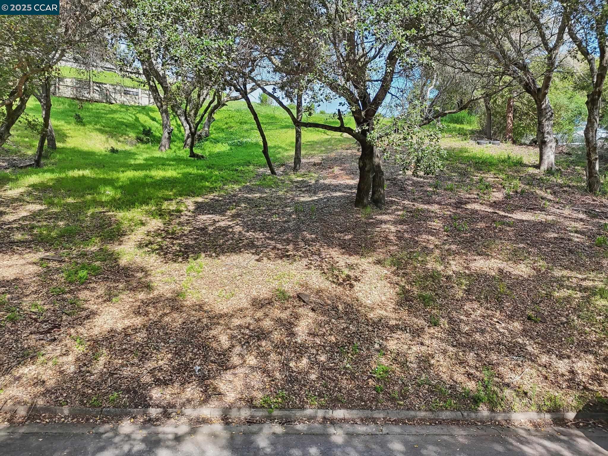 Oak Road Orinda, CA 94563 - Photo 7 of 18 a view of outdoor space and yard