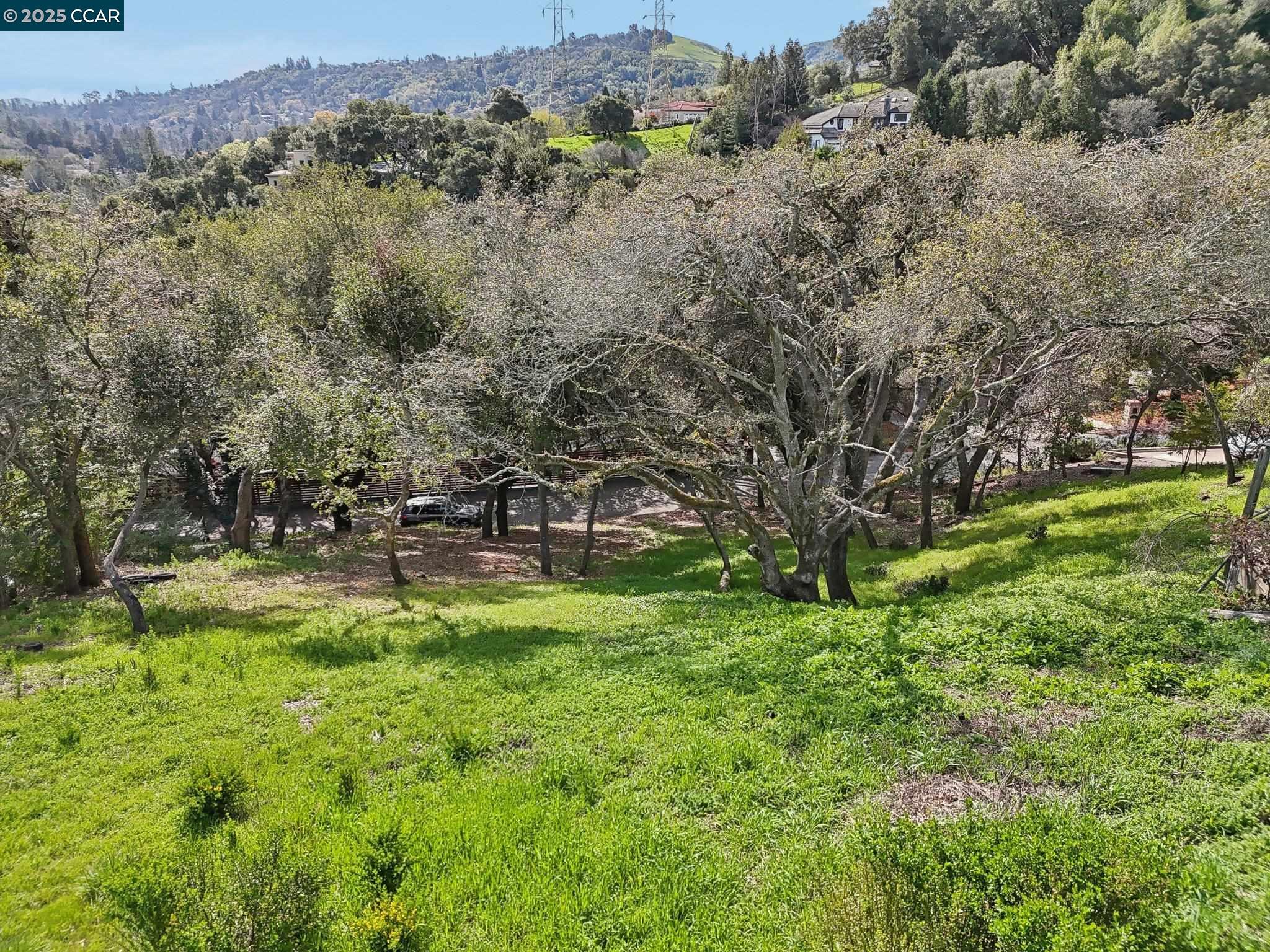 Oak Road Orinda, CA 94563 - Photo 9 of 18 a view of swimming pool with a yard