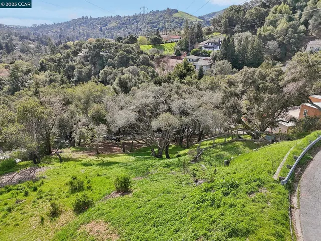 a view of a green field with lots of bushes