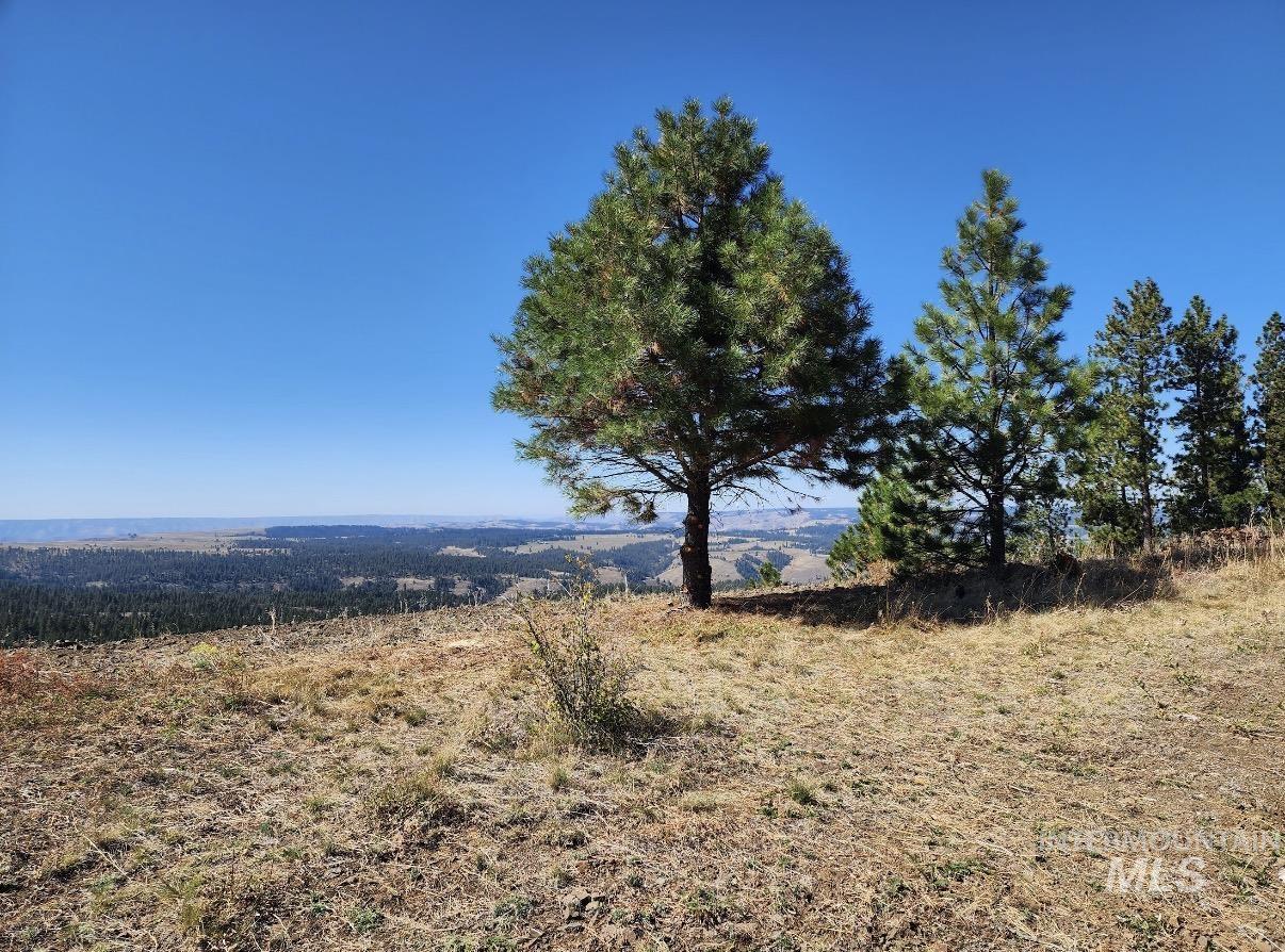 Lot 91 Pilgrim Ridge Road White Bird, ID 83554 - Photo 24 of 35