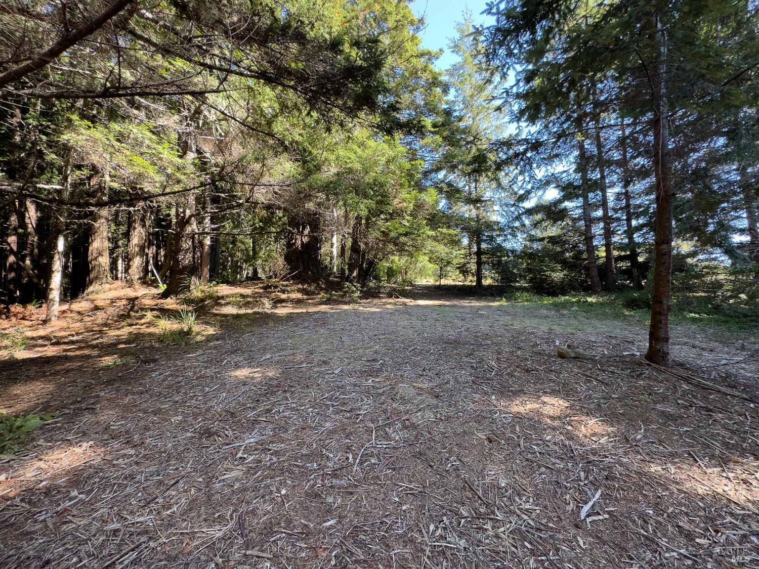 37284 Rams Horn Reach The Sea Ranch, CA 95497 - Photo 8 of 13