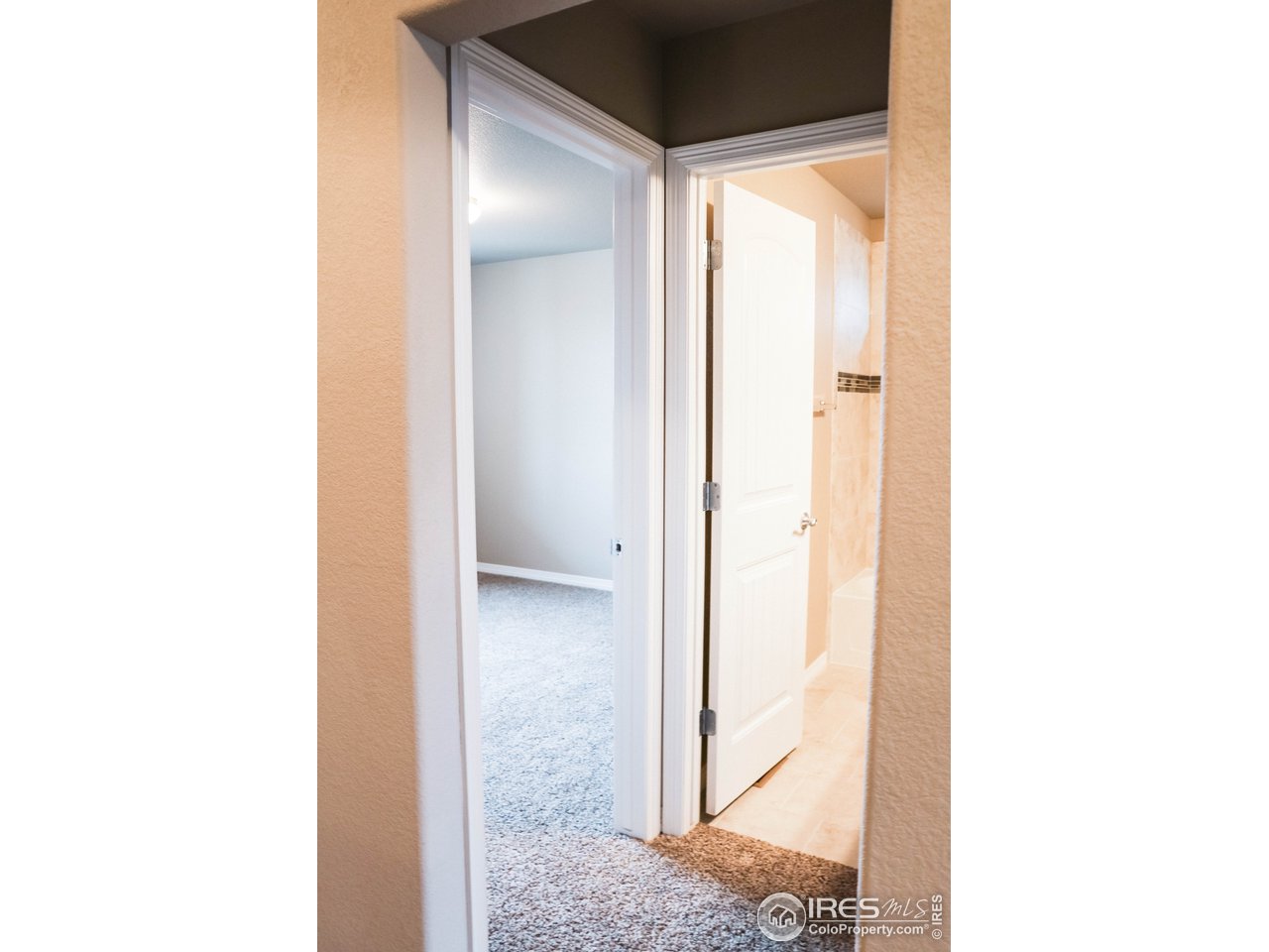 1393 Copeland Falls Road Severance, CO 80550 - Photo 7 of 25 Gallery Image 7