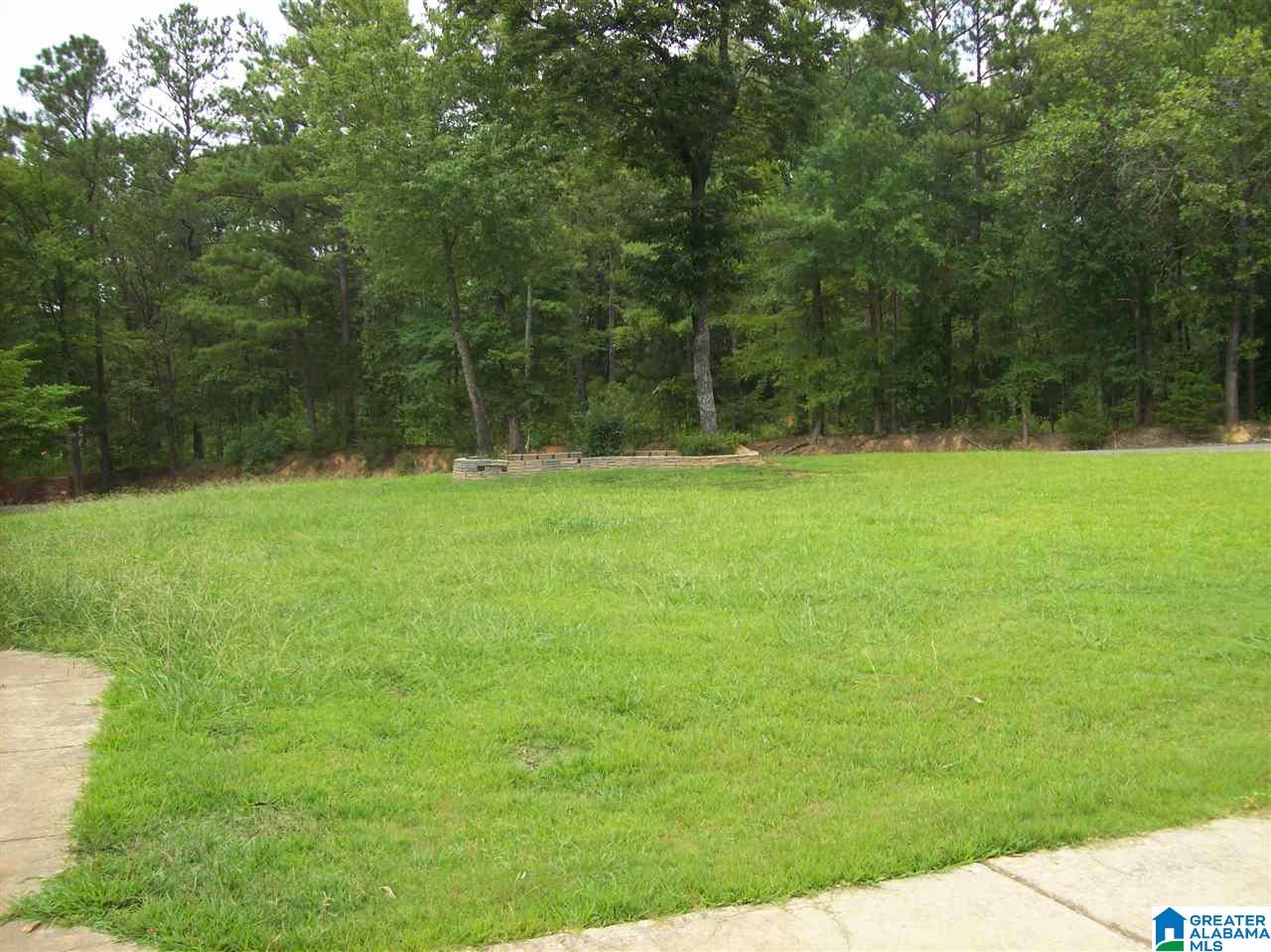 1072 Hopeful Road Munford, AL 36268 - Photo 44 of 44 Gallery Image 44